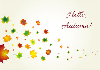 Autumn Leaves Set, october colorful