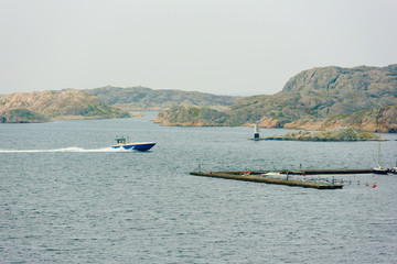 Obraz premium Blue motorboat speeding to the marina with rocky islets in background one misty morning in fall. The Swedish west coast near Skarhamn on Tjorn.