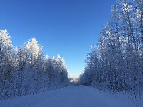Sibir