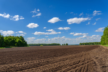Fototapeta na wymiar field tillage agriculture sky