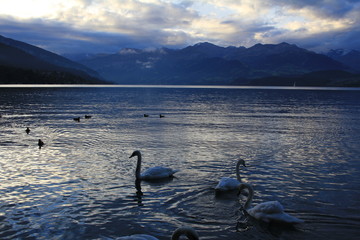 Naklejka premium Travel the World Zen Style