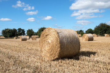 All wrapped up. A straw bale in an English field