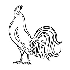 Cock
