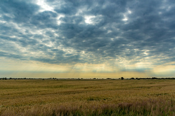 Fototapeta premium Sunlight