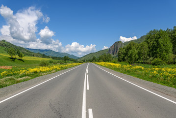 Fototapeta premium road mountains sky asphalt flowers