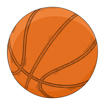 Basketball ball. Colored sketch