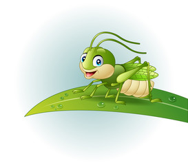 Cartoon grasshopper on leaf