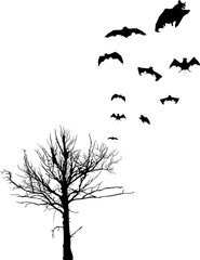 bare tree and flying bats isolated on white