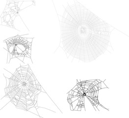 five black isolated webs collection