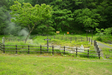 Fototapeta premium 温泉地区の風景