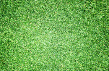 Obraz premium Green grass background