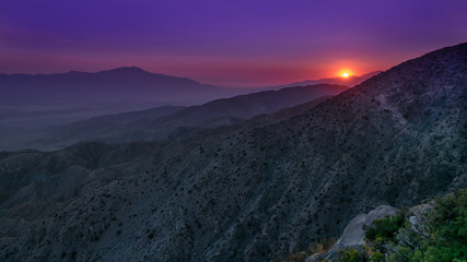 Joshua Tree Sunset