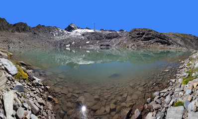 Ein Sonnenstern im Schmiedinger See