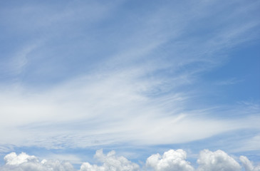 Fototapeta premium blue sky with cloud