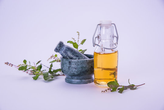 Ayurvedic Tulsi Oil Or Holy Basil Oil