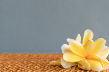 Frangipani / plumeria on placemat with blue background
