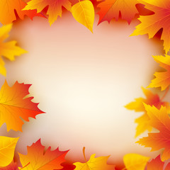 Naklejka na ściany i meble Autumn leaves plant frame. Mapple leaf frame design template. Fall decoration