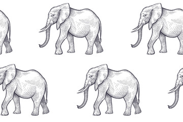 Seamless vector pattern with elephants.