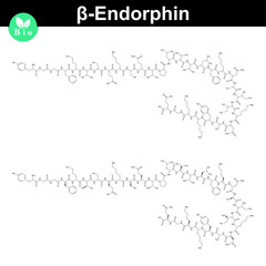 Beta endorphin molecular formula