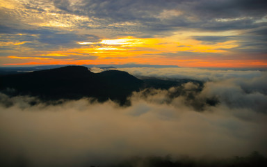Sea of mist