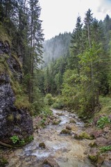 Fototapeta na wymiar Zireiner See Tirol Wanderung Gebirge Alpen 16
