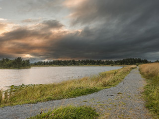 Fototapeta na wymiar Pathway in a park by a lake.