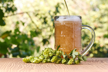 A glass of cold beer with hops outdoors.