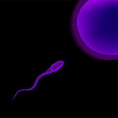 Spermatozoon sperm and ovum egg . In vitro fertilization IVF . Artificial insemination. Spermogram. Male infertility. Illustration for web or typography magazine, brochure, flyer, poster .