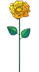 One yellow rose on a stem