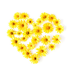 Heart symbol made of bright yellow daisy on white background. Flat lay, top view