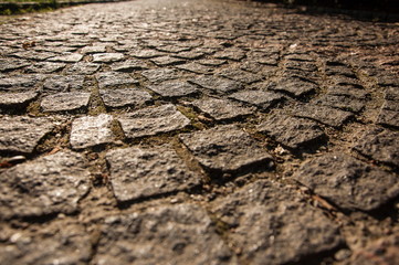 paving stone
