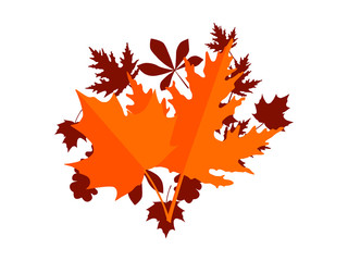 Autumn leaves on a white background. Vector illustration.