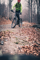 Fototapeta na wymiar Mountain biker on cycle trail in woods