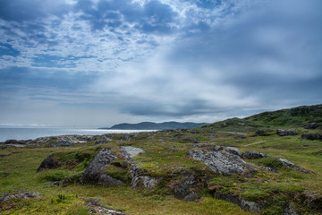 Saddle Island Landscape