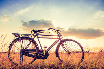 Obraz na płótnie Canvas Vintage Bicycle with Summer grassfield
