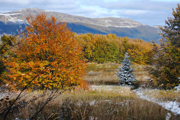 Fototapeta premium Beautiful autumn mountain landscape. Bieszczady