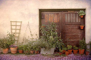 Fototapeta na wymiar flower pots and old door in Provence