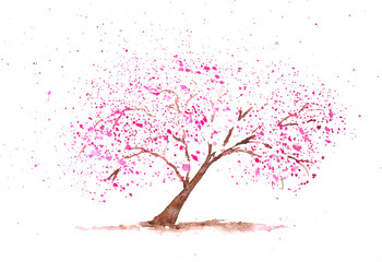Obraz na płótnie Canvas Pink cherry tree on white, watercolor painting