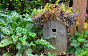 Fototapeta na wymiar Little old wooden birdhouse in garden