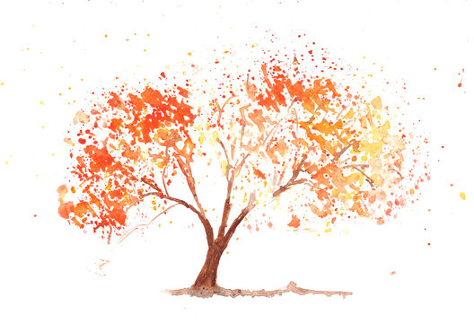 Autumn tree on white, watercolor painting