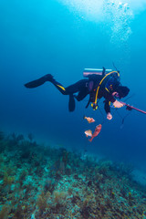Fototapeta na wymiar Scuba diver with speargun and dead fishes