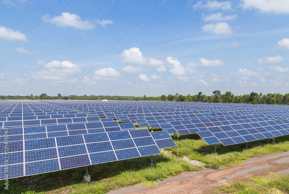 Wall mural solar photovoltaics  panels alternative energy from the sun in solar power station  