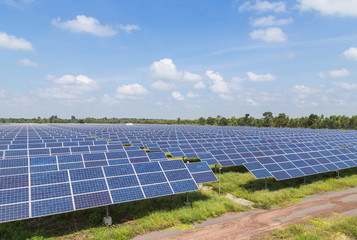 solar photovoltaics  panels alternative energy from the sun in solar power station   - 121470767