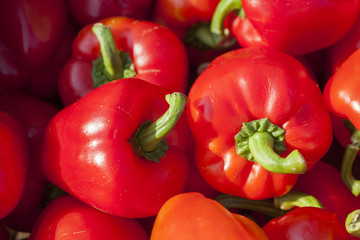 Rote Paprika