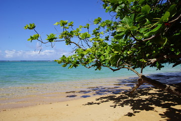 Strand auf Kauai /  Hawaii