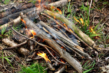 The fire, which ignited in the forest.