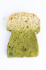 mold on bread