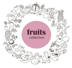Collection of the fruits doodles, different objects: food, pineapple, grape, banana, apple, etc. Line art illustrations.