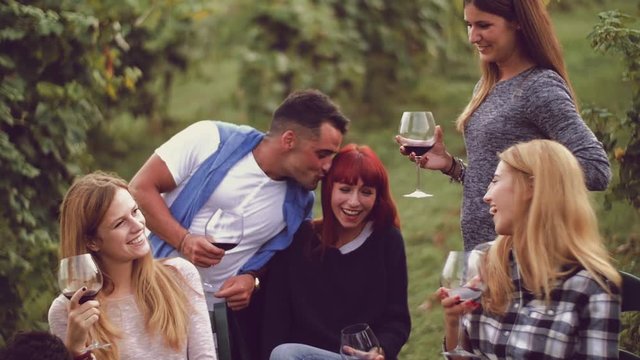 Group of friends toasting with red wine in the vineyard
