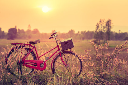 beautiful landscape image with Bicycle at sunset